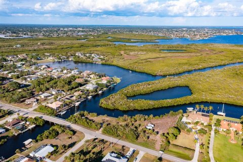 Land in Port Charlotte, Florida № 216247 - photo 11