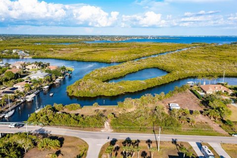 Land in Port Charlotte, Florida № 216247 - photo 27