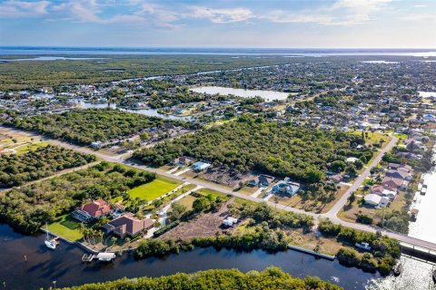 Land in Port Charlotte, Florida № 216247 - photo 15