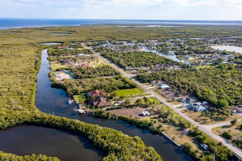 Land in Port Charlotte, Florida № 216247 - photo 16