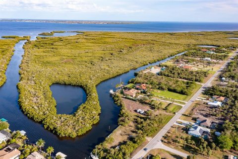 Land in Port Charlotte, Florida № 216247 - photo 18