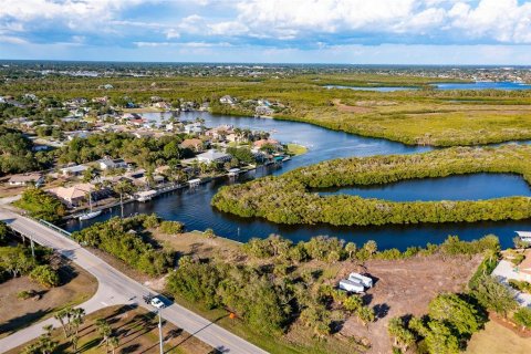 Land in Port Charlotte, Florida № 216247 - photo 22