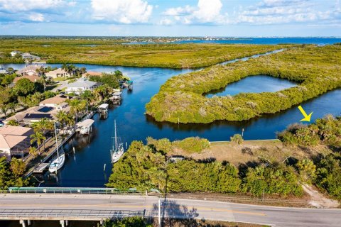 Land in Port Charlotte, Florida № 216247 - photo 29