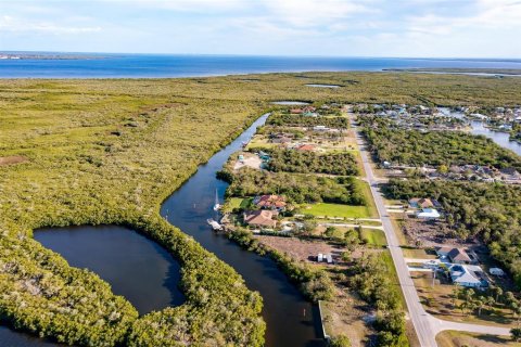 Land in Port Charlotte, Florida № 216247 - photo 17