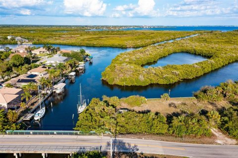 Land in Port Charlotte, Florida № 216247 - photo 30