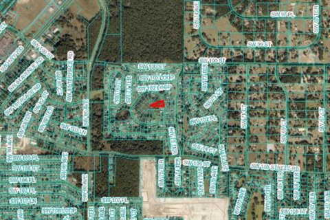 Terreno en venta en Ocala, Florida № 1280271 - foto 3