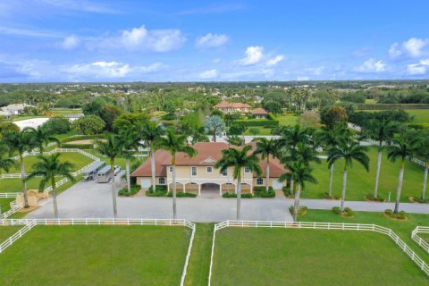 Villa ou maison à vendre à Wellington, Floride: 5 chambres, 588.44 m2 № 53621 - photo 3