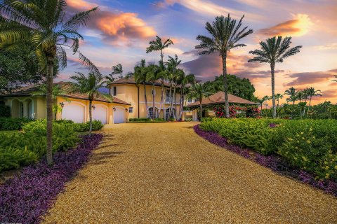 Villa ou maison à vendre à Wellington, Floride: 5 chambres, 588.44 m2 № 53621 - photo 1