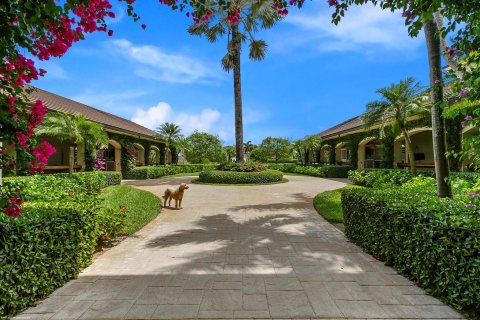 Villa ou maison à vendre à Wellington, Floride: 5 chambres, 588.44 m2 № 53621 - photo 26