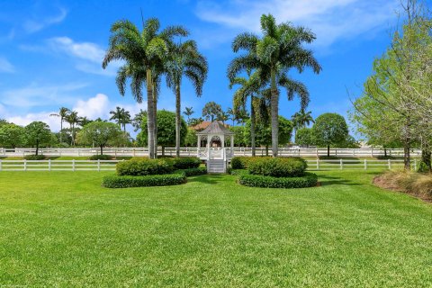 Villa ou maison à vendre à Wellington, Floride: 5 chambres, 588.44 m2 № 53621 - photo 7