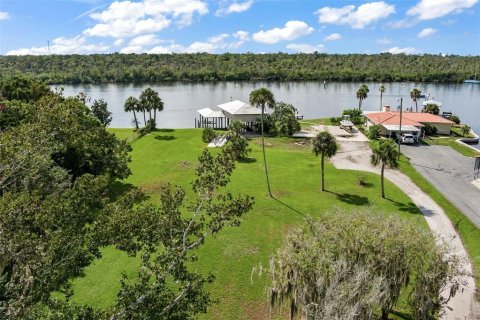 Terrain à vendre à Homosassa, Floride № 1346577 - photo 6