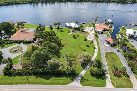 Terrain à vendre à Homosassa, Floride № 1346577 - photo 30