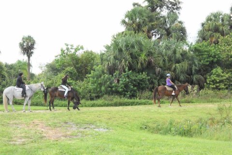 Terreno en venta en Eustis, Florida № 1353156 - foto 11