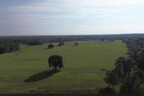 Land in Eustis, Florida № 1353156 - photo 10