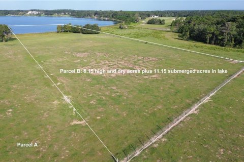 Terreno en venta en Eustis, Florida № 1353156 - foto 6