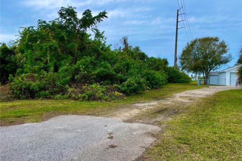 Terreno en venta en Punta Gorda, Florida № 940017 - foto 2