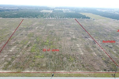 Terreno en venta en Sebring, Florida № 1299792 - foto 1