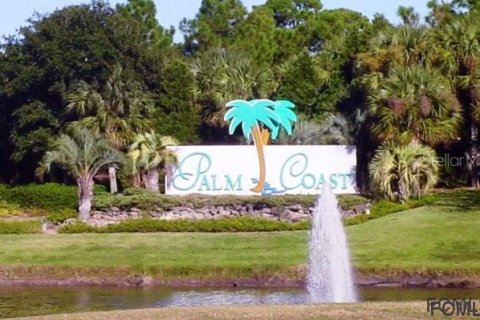 Land in Palm Coast, Florida № 217715 - photo 4