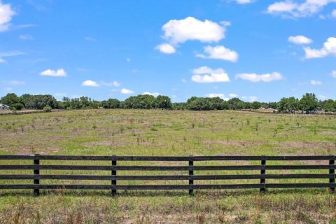 Land in Summerfield, Florida № 1335254 - photo 3