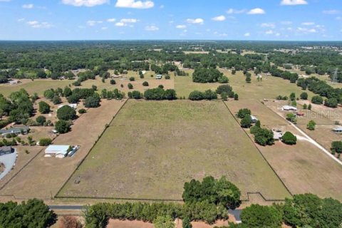 Land in Summerfield, Florida № 1335254 - photo 1