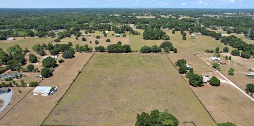 Terrain à Summerfield, Floride № 1335254