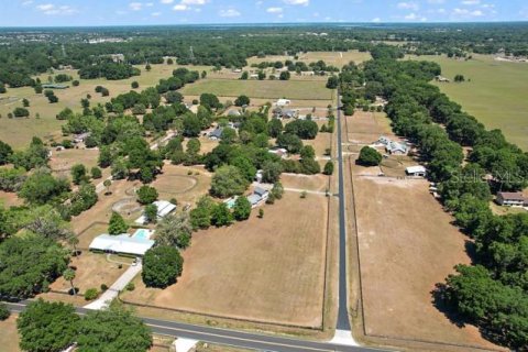 Land in Summerfield, Florida № 1335254 - photo 11