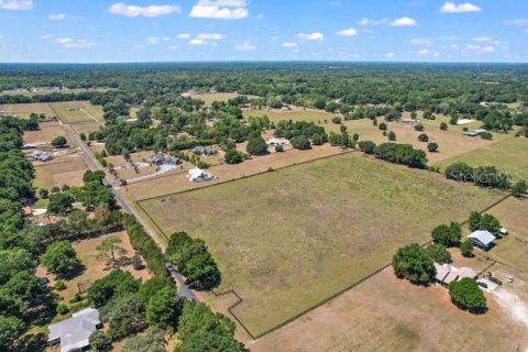 Land in Summerfield, Florida № 1335254 - photo 5