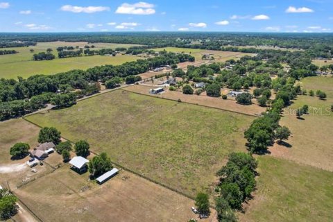 Land in Summerfield, Florida № 1335254 - photo 7