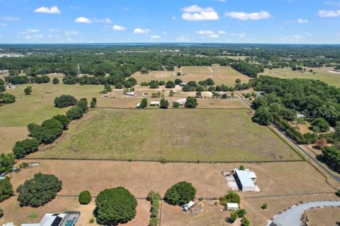 Land in Summerfield, Florida № 1335254 - photo 10