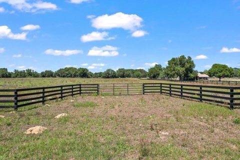 Land in Summerfield, Florida № 1335254 - photo 4