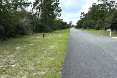 Terrain à vendre à Ocala, Floride № 1335256 - photo 6