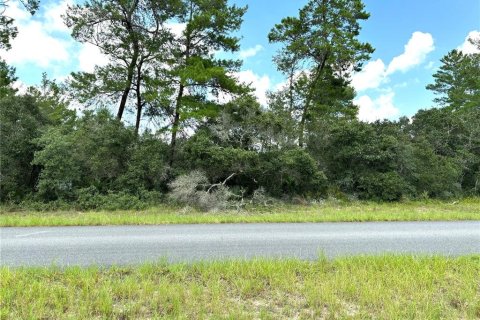 Terreno en venta en Ocala, Florida № 1335256 - foto 1