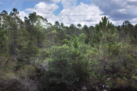 Купить земельный участок в Делтона, Флорида № 222322 - фото 2