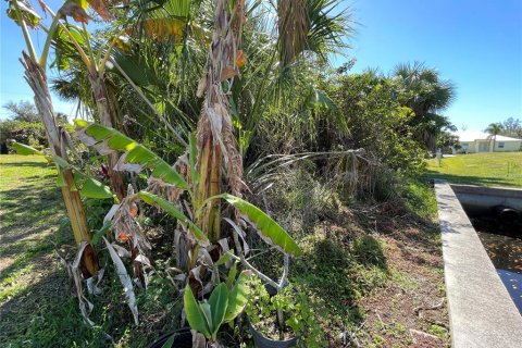 Land in Port Charlotte, Florida № 920392 - photo 13