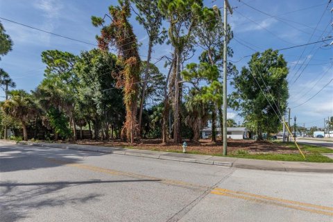 Land in Nokomis, Florida № 1308154 - photo 7