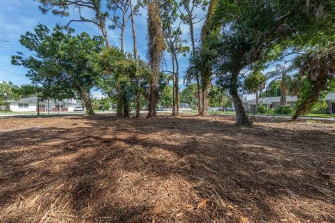 Terreno en venta en Nokomis, Florida № 1308154 - foto 5