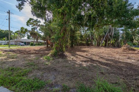 Terrain à vendre à Nokomis, Floride № 1308154 - photo 8