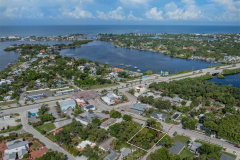 Terreno en venta en Nokomis, Florida № 1308154 - foto 10