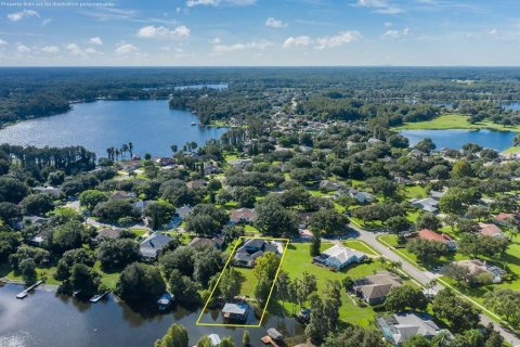 Villa ou maison à vendre à Odessa, Floride: 4 chambres, 371.79 m2 № 1350472 - photo 3