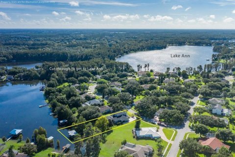 Villa ou maison à vendre à Odessa, Floride: 4 chambres, 371.79 m2 № 1350472 - photo 6