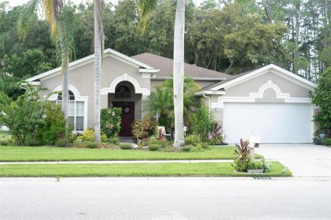 Villa ou maison à vendre à Odessa, Floride: 3 chambres, 248.98 m2 № 1346986 - photo 1