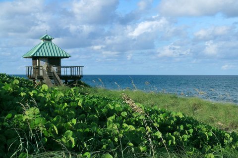 Condo in Boca Raton, Florida, 2 bedrooms  № 750666 - photo 14