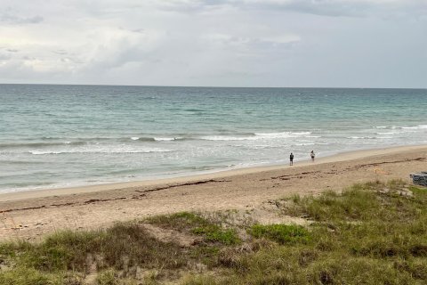 Land in Jensen Beach, Florida № 1178611 - photo 8