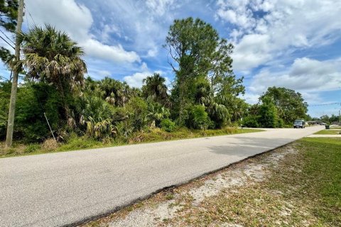 Land in North Port, Florida № 1156216 - photo 2