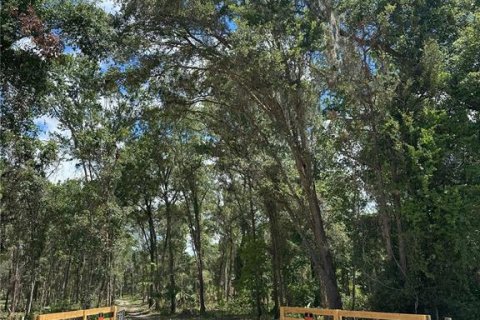 Terreno en venta en Micanopy, Florida № 1350914 - foto 11