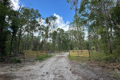 Terreno en venta en Micanopy, Florida № 1350914 - foto 9