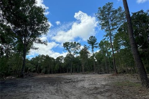 Land in Micanopy, Florida № 1350914 - photo 10