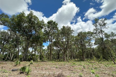 Terreno en venta en Micanopy, Florida № 1350914 - foto 15