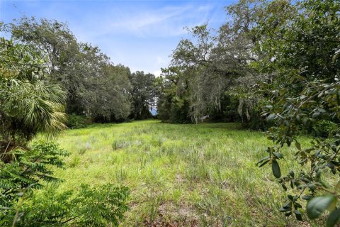 Immobilier commercial à vendre à Orlando, Floride: 216.09 m2 № 1273671 - photo 23