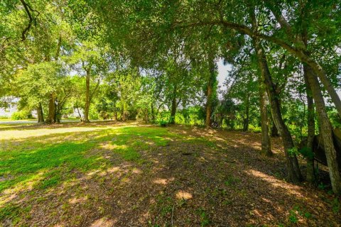 Terreno en venta en Tampa, Florida № 1375264 - foto 6